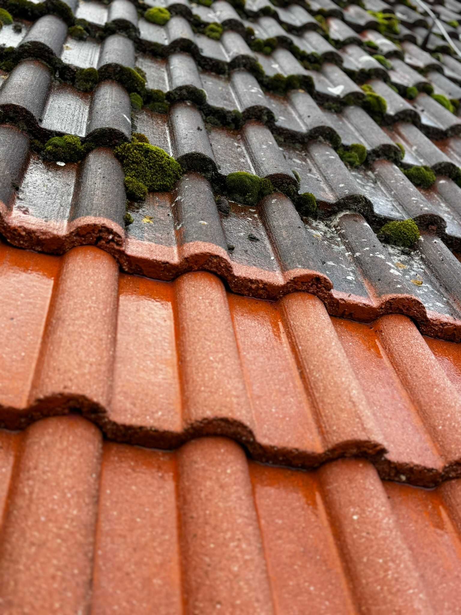 Profesjonalne malowanie mycie pokryć dachowych | GWARANCJA JAKOŚCI