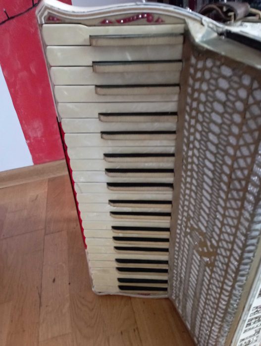 Akordeon Włoski 120 basów