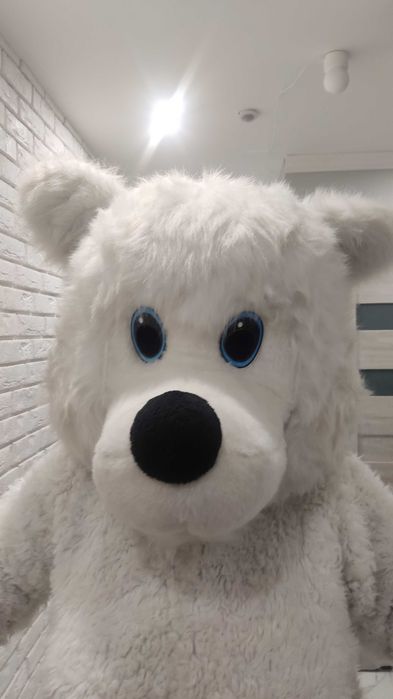 Żywe maskotki wynajem wysyłkowy strojów Misio Piesek Panda Kot Smok