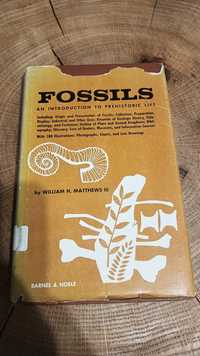 Fossils william H. Matthews III an introduction to prehistoric life