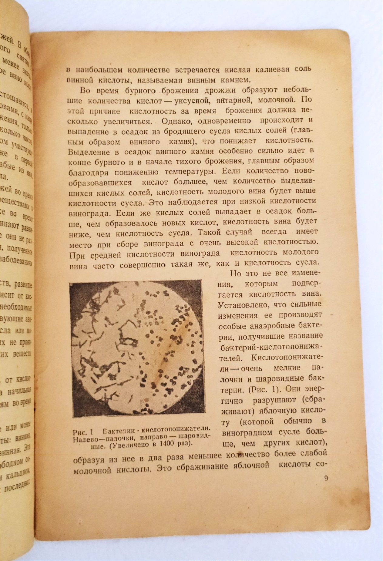 БОЛЕЗНИ ВИН 1948 год Руководство по виноделию предупреждение и лечение