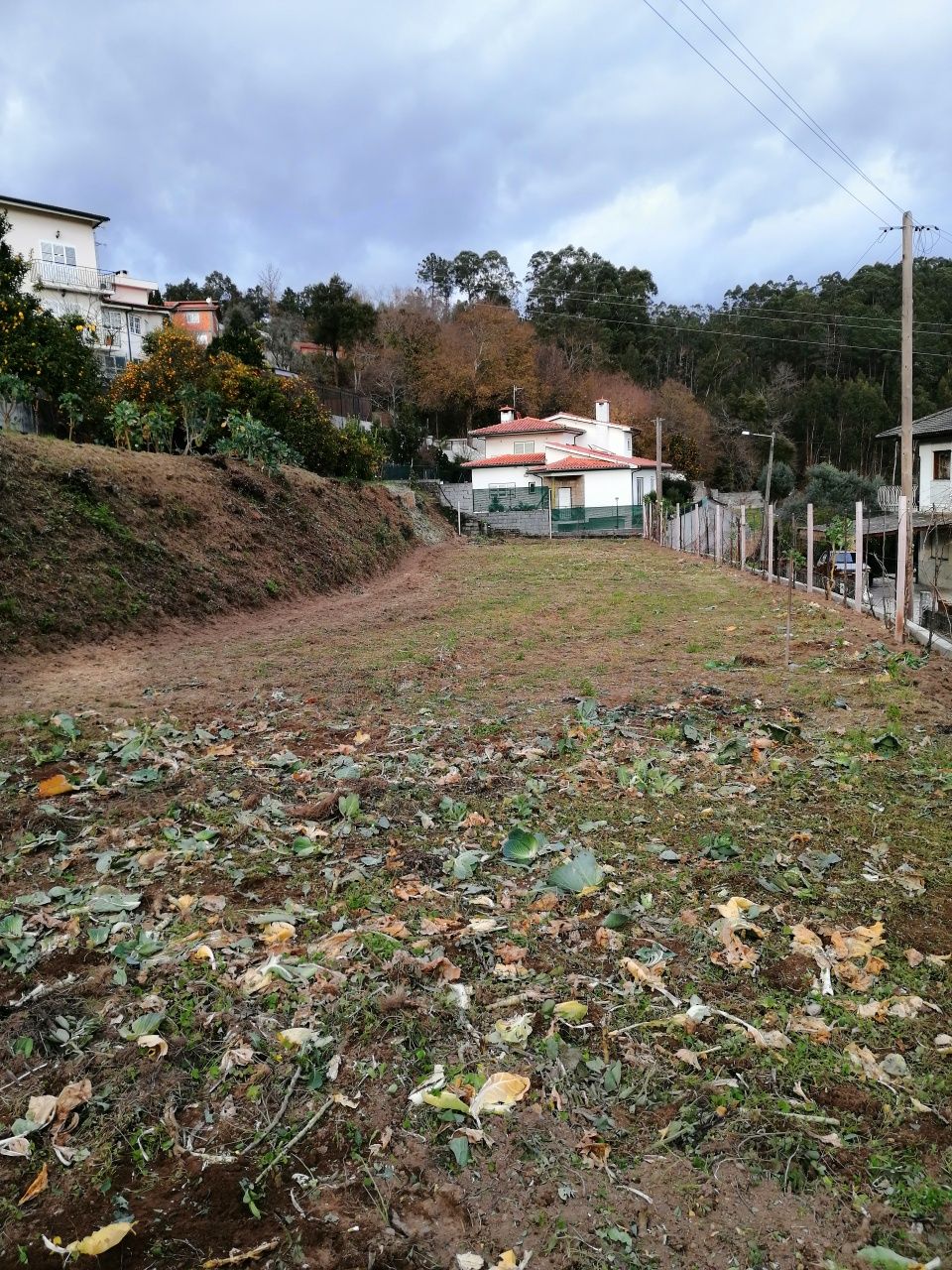 Limpeza de terrenos