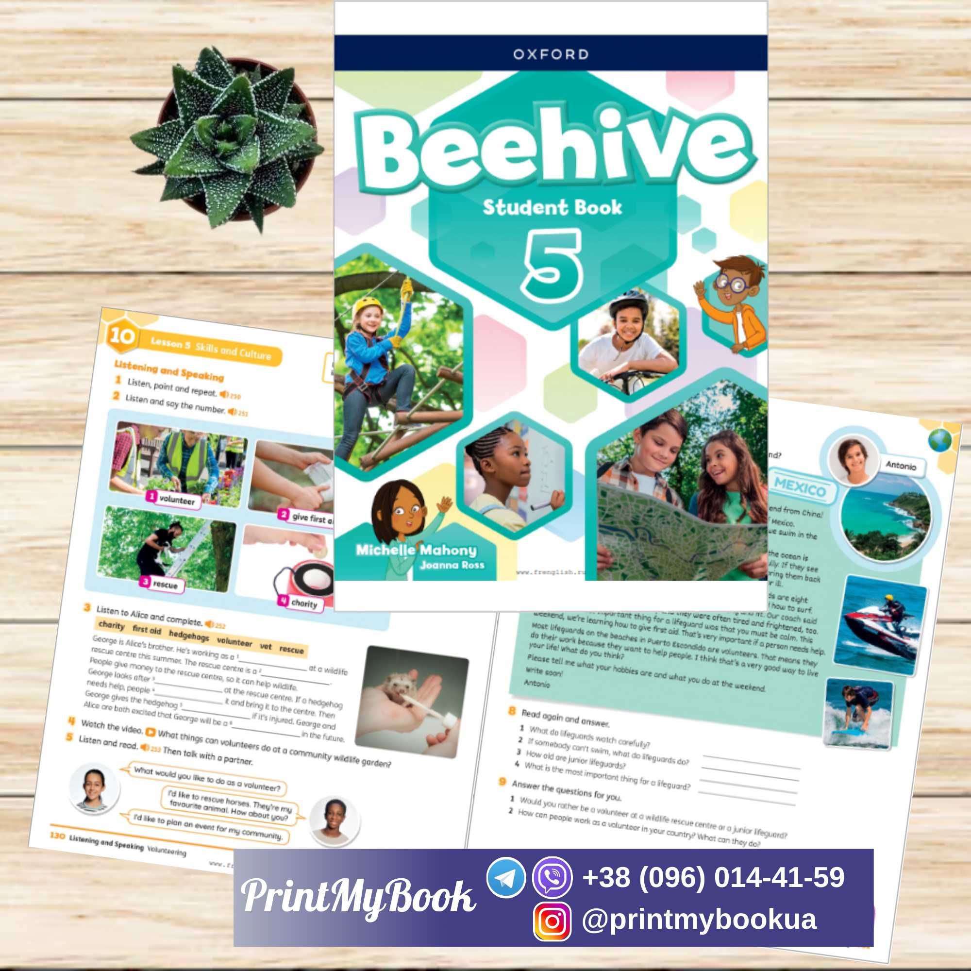 Beehive (Student’s Book + Workbook)
