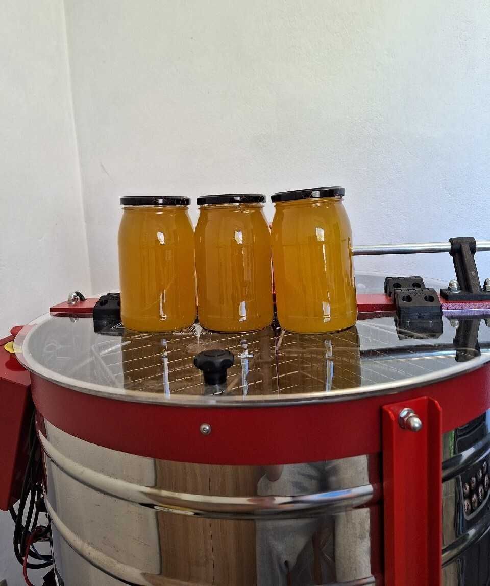 Miód Rzepakowo Mniszkowy 1.2kg 0.9l 2024 z własnej pasieki