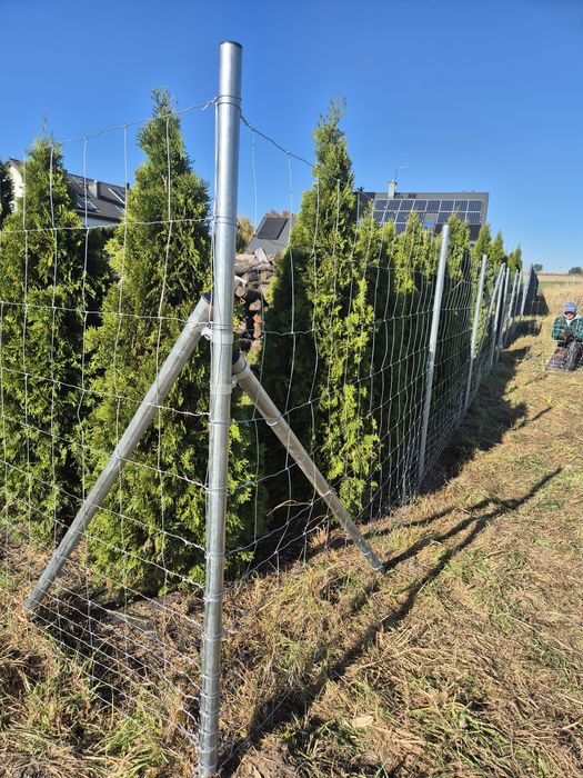 Słupki ogrodzeniowe metalowe OCYNK fi 40mm kapturek gratis 200cm