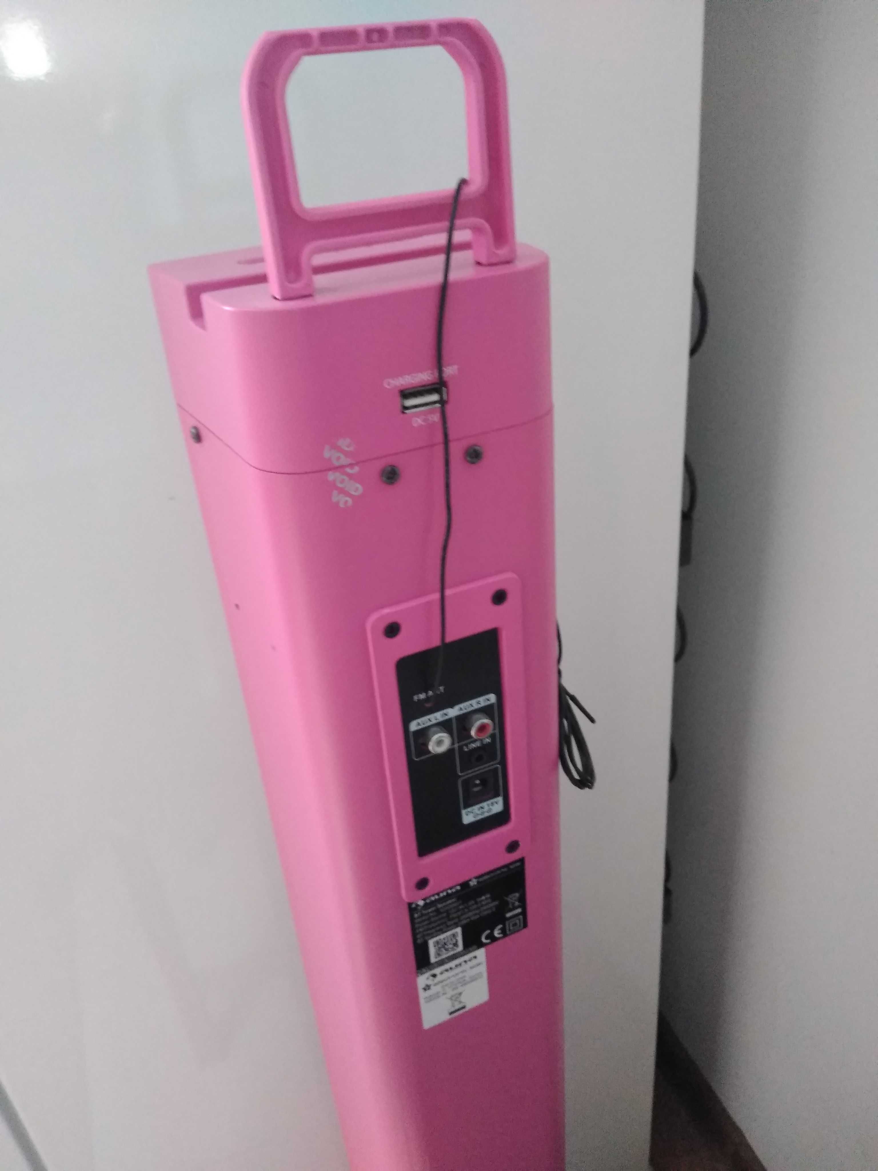 Sprzedam duży głośnik bluetooth Auna brak zasilacza oraz mikrofonów