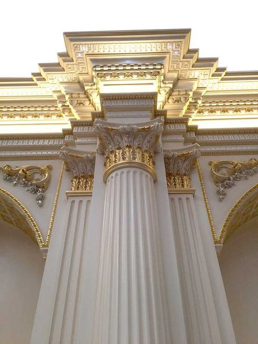 Biobioteka drewno Unikat