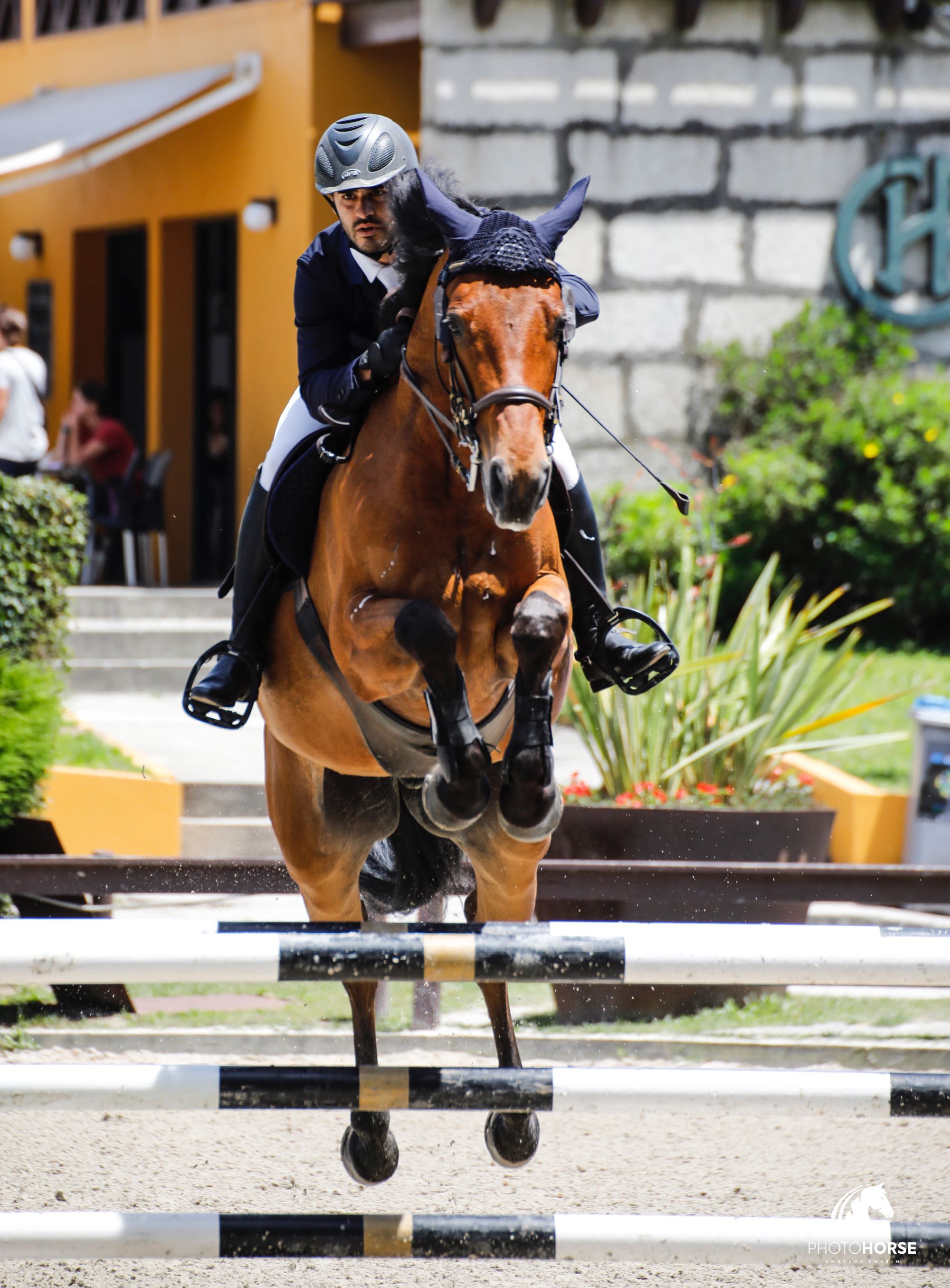 Cavalo Castrado para venda 9 anos