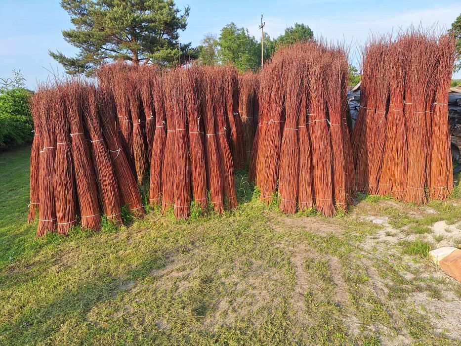 Wiklina sucha sortowana