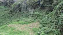 Terreno  Com 2.387M2 No Estreito De Câmara De Lobos