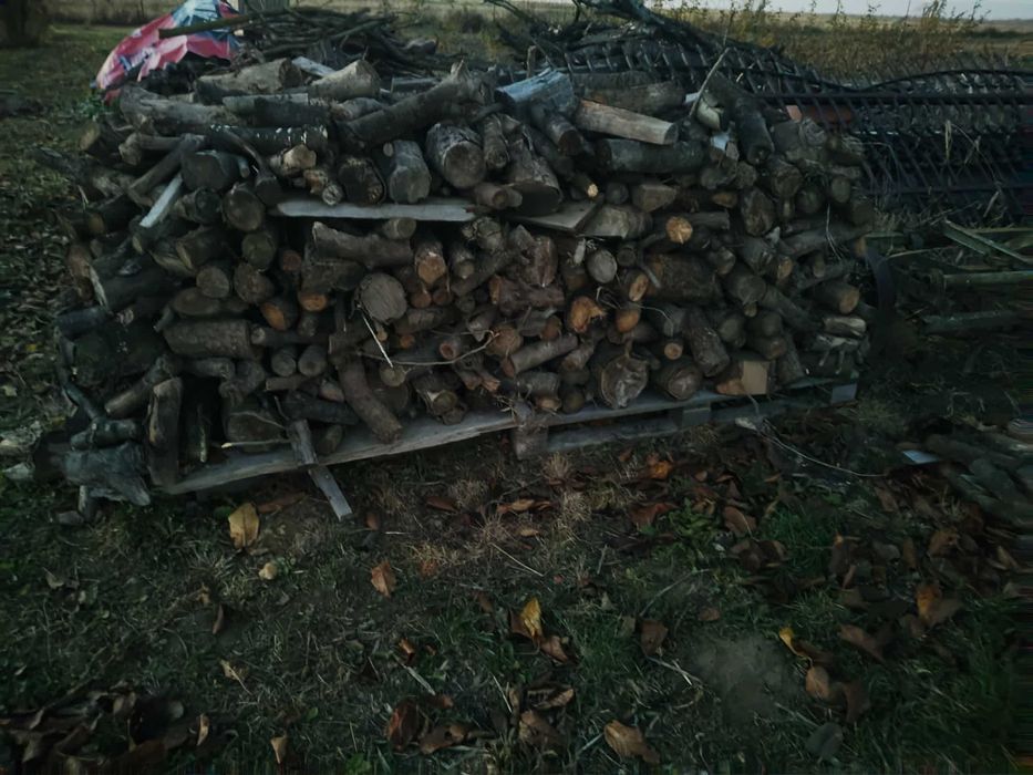 DREWNO OPAŁOWE – jabłoń, czereśnia – gotowe do palenia