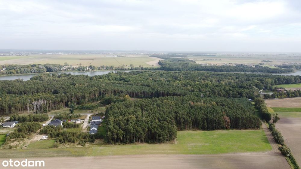 Działki budowlane przy lesie