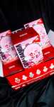 Blind box Skullpanda Winter Symphony breloczek pop mart oryginał