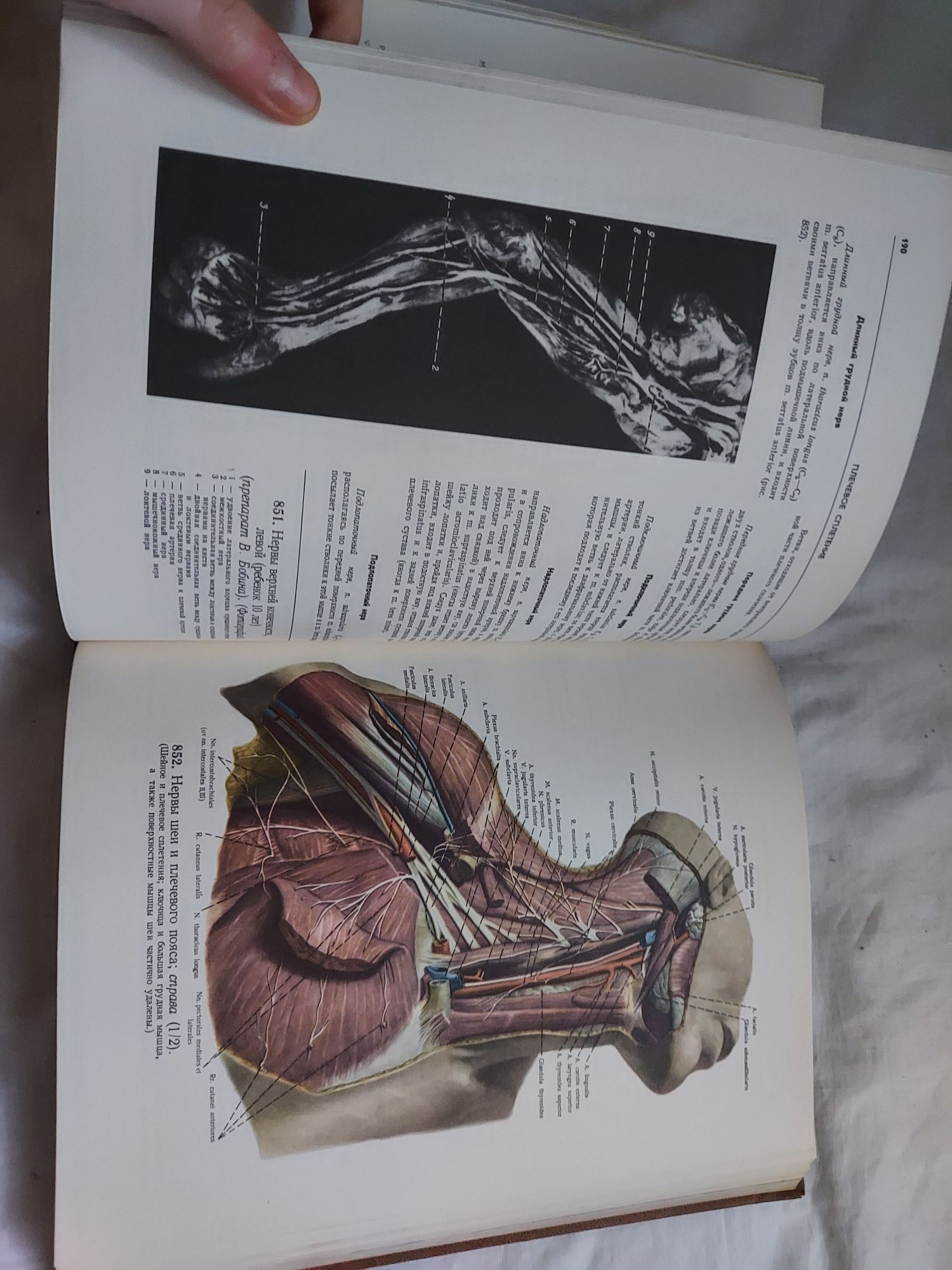 Atlas anatomii człowieka III Sinelnikov po rosyjsku