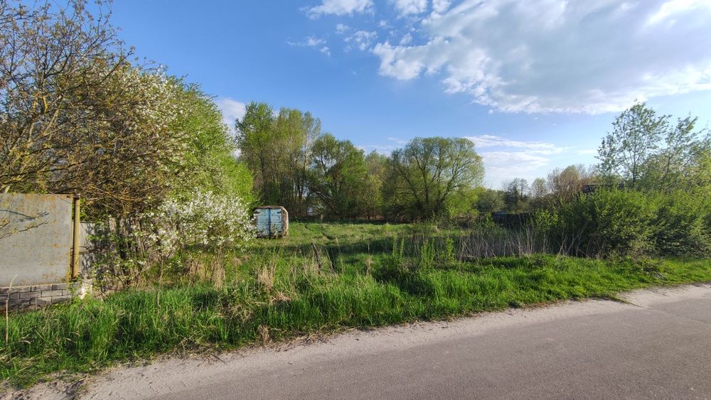 Земельна ділянка с. Гориця v.Gorica Chernihiv district