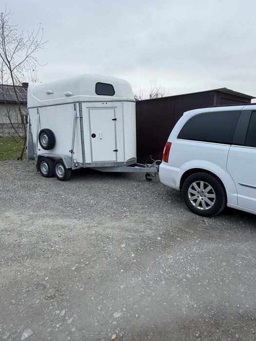 Transport,przewóz koni (Żywych zwierzat)