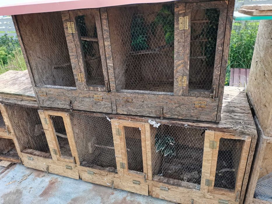 Klatka woliera na ptaki króliki itp.