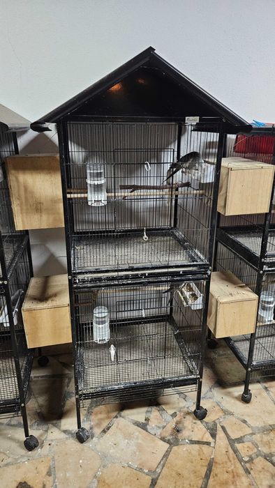 Gaiolas piso duplo pawhut