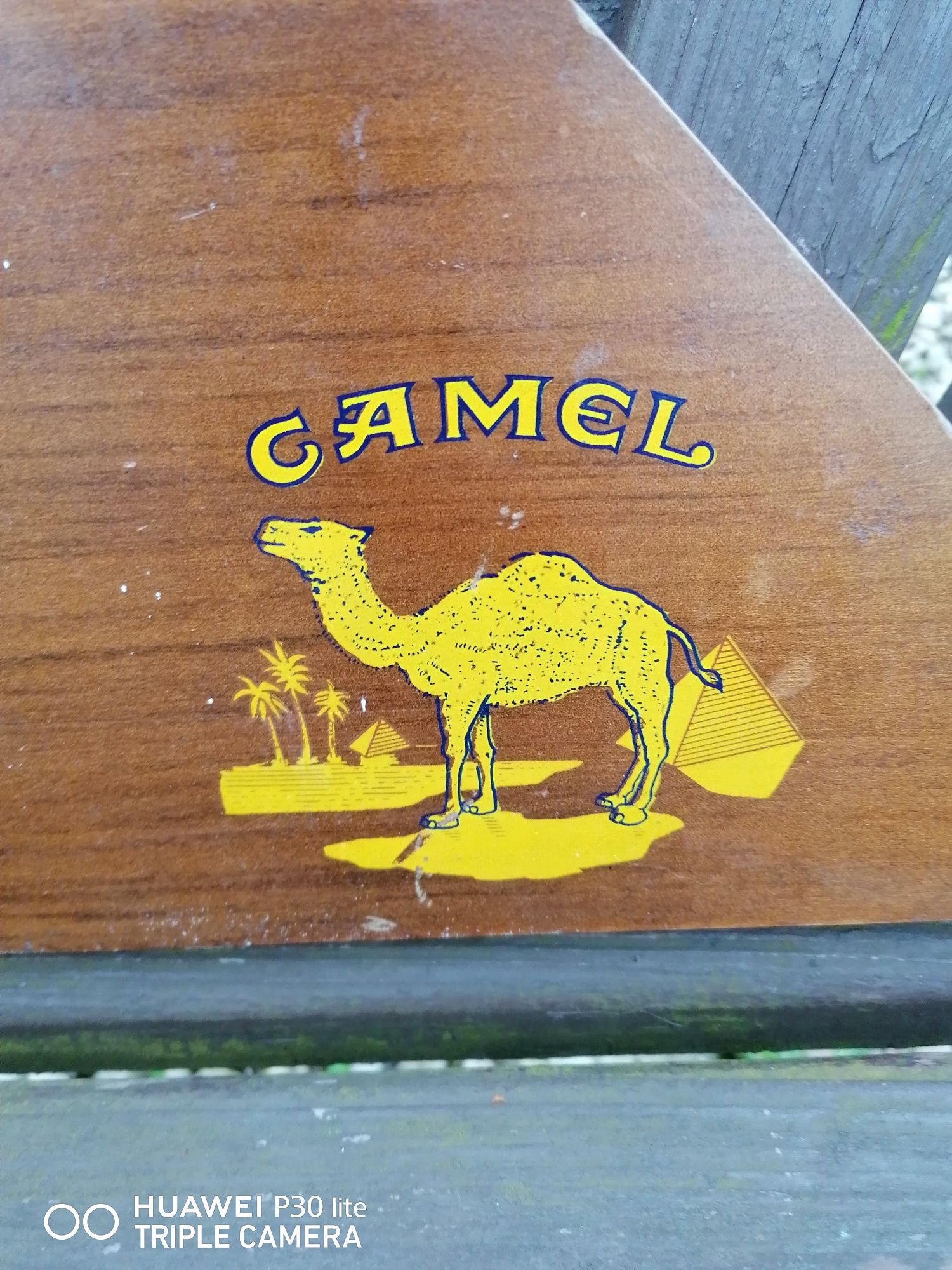 Lotki, dart, rzutki  tarcza unikat  Camell