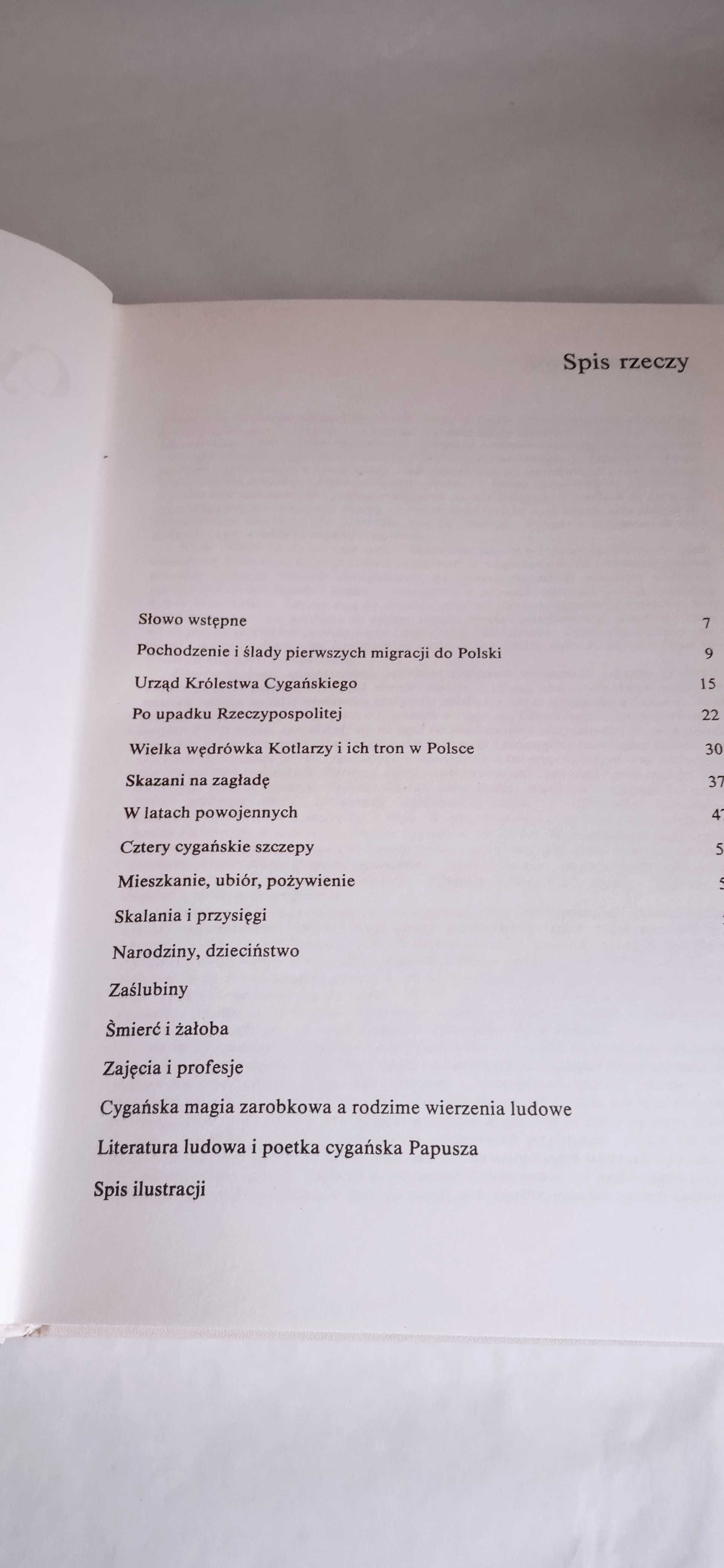 Cyganie polscy. Dzieje i obyczaje Jerzy Ficowski