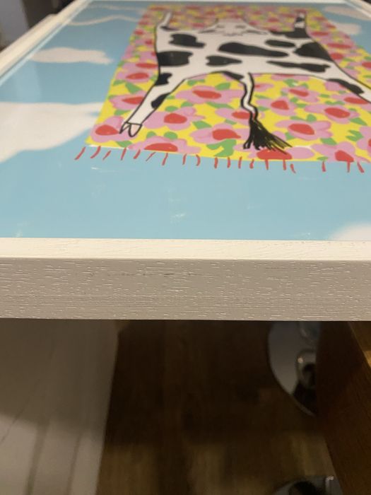 Quadro divertido com fotografia e moldura  - artista espirro_