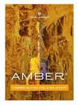 Plugin Vst Ujam AMBER 2 gitara akustyczna