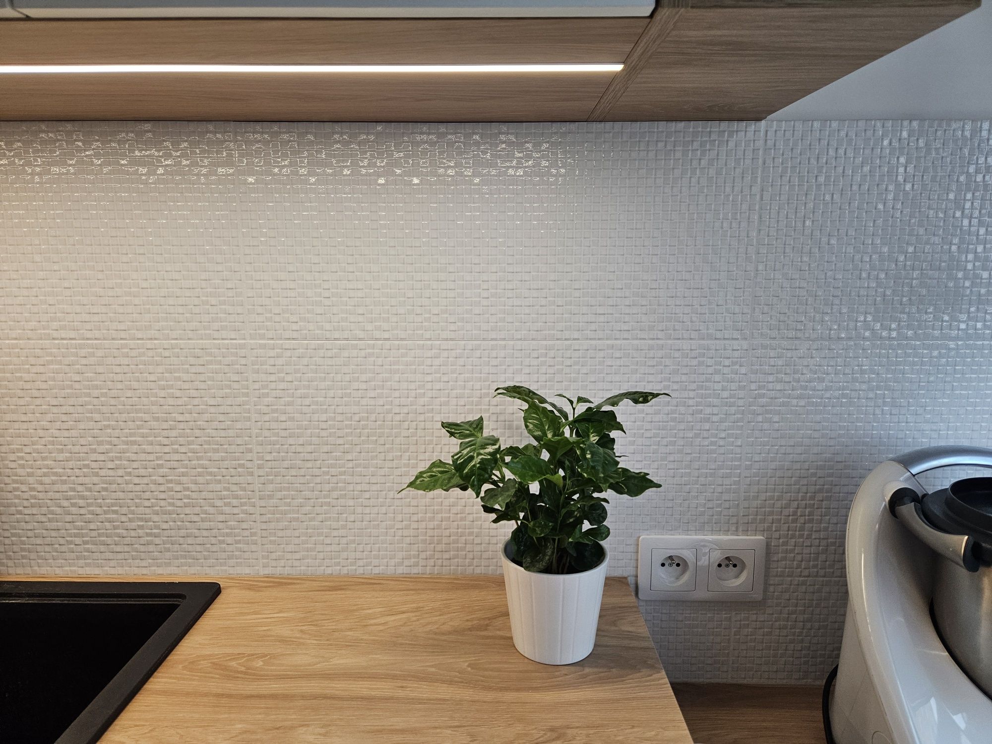 Płytki 30x60 Saloni Sedus Brillo Blanco GXB500