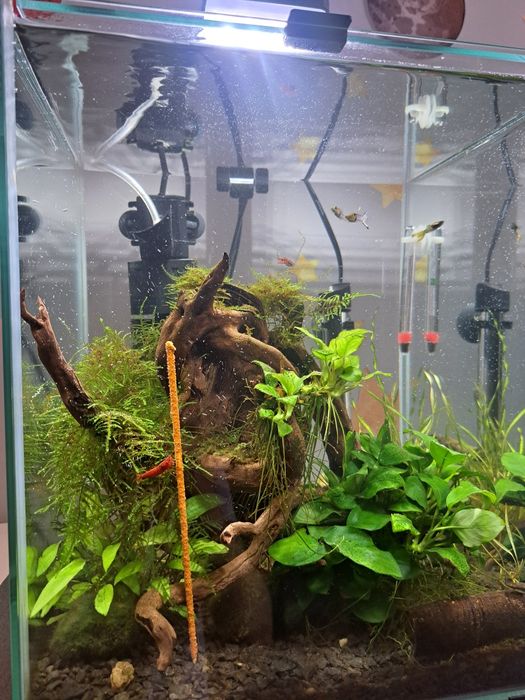 Akwarium 30l Aquael + pełen zestaw akcesoriów