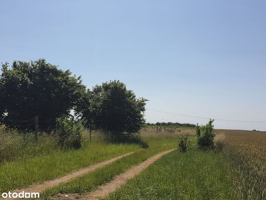 Działka z wydanymi warunkami zabudowy - 99 000 PLN