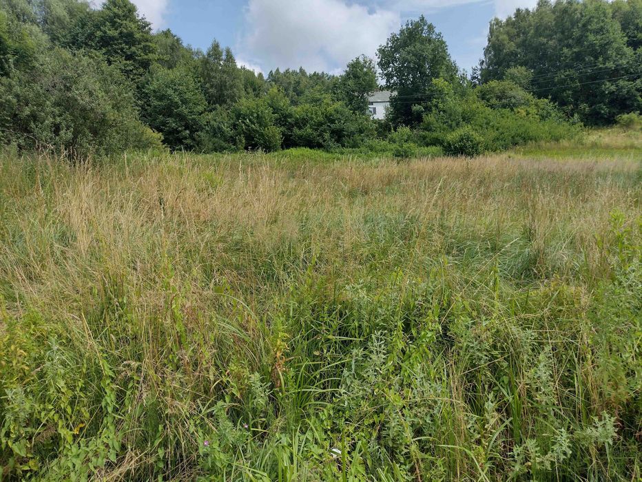 Działki: Ropczyce-Niedźwiada-Stobierna, 2x 2200 m2