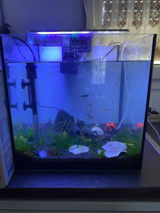Kit de aquário completo: filtro, peixes, comida e produtos para a água