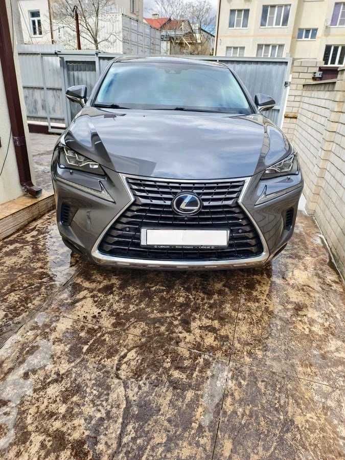 Lexus NX 300h, 2019