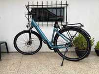 Bicileta Eletrica Tenways CGO800 S