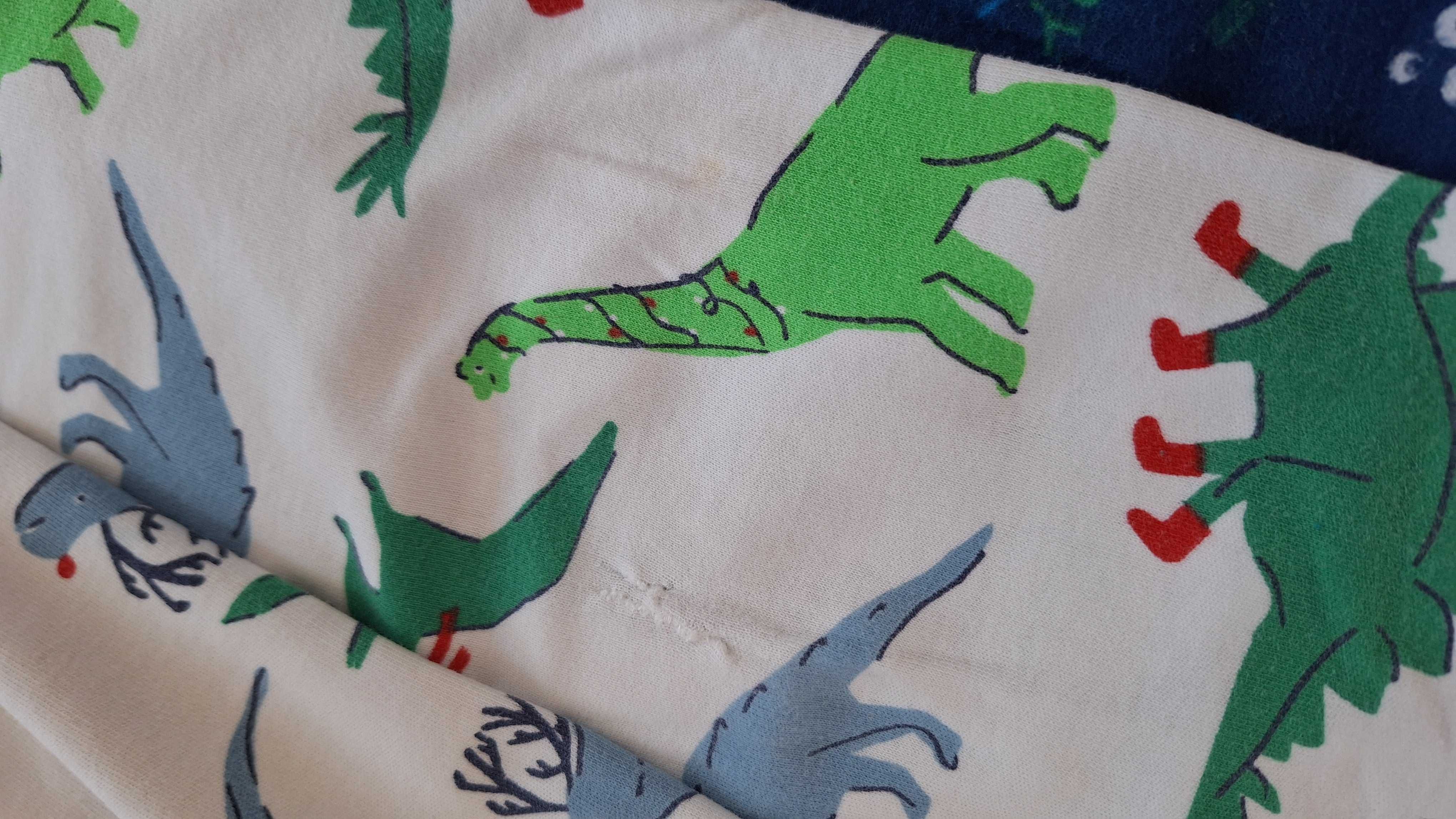 Zestaw 4-5lat chłopiec spodnie,t-shirty dinozaury