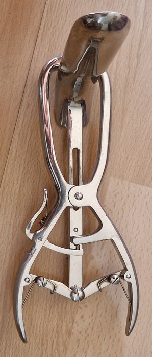 Wziernik proktologiczny