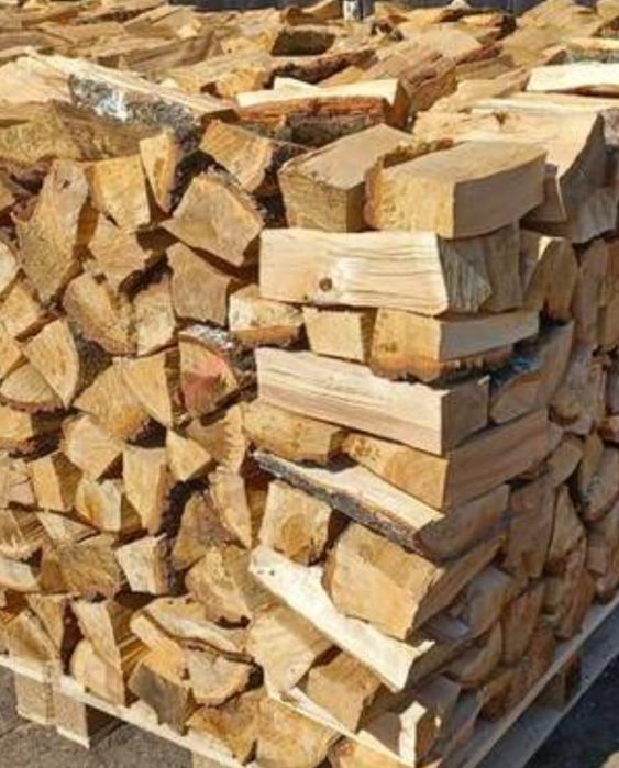 Drzewo opalowe kominkowe lisciaste dąb jesion grab brzoza olcha