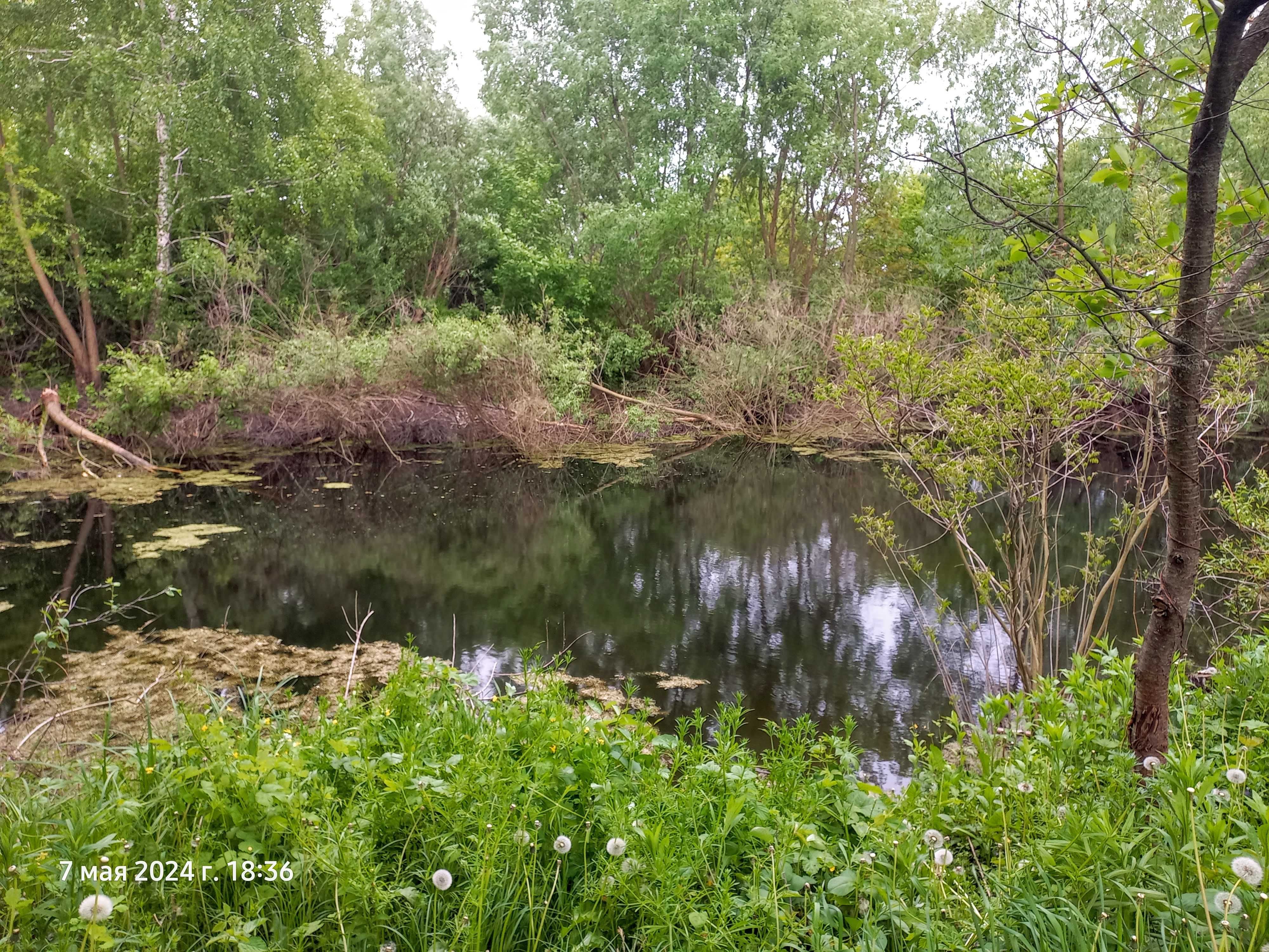 Продам дачу в Чернігові (Пролетарський гай)