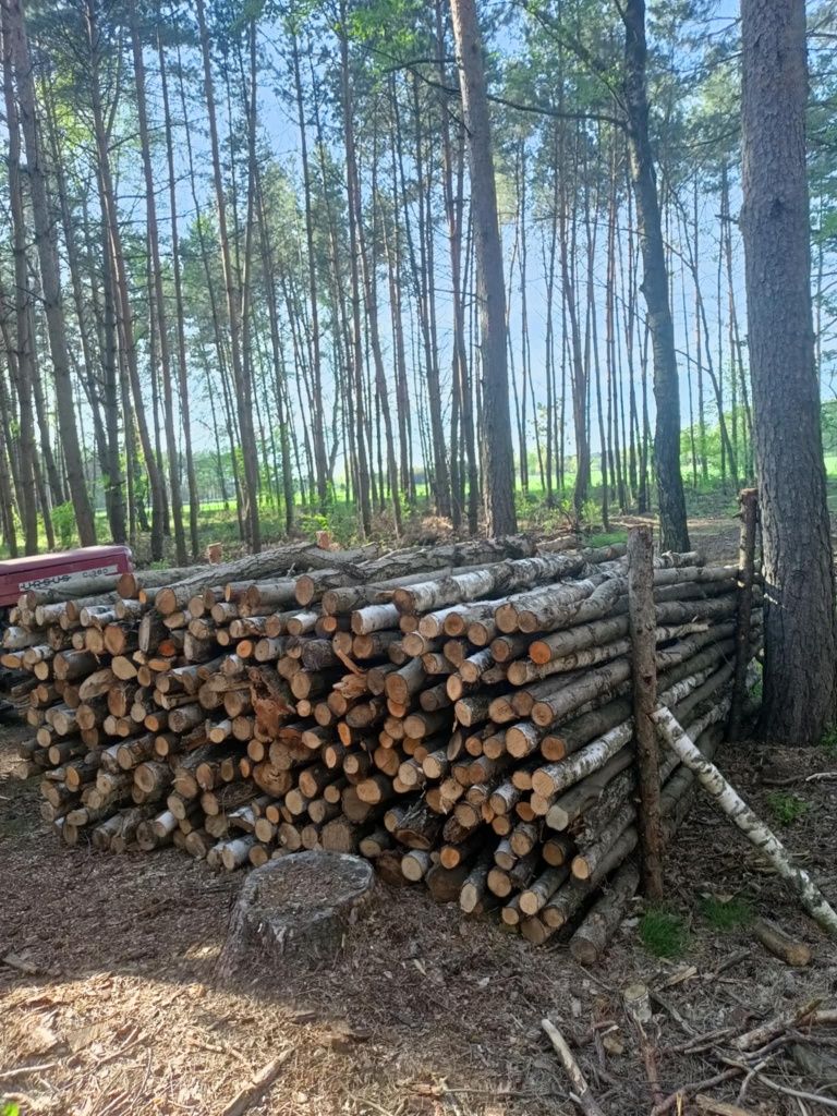 Drzewo opałowe gałęziówka liściaste brzoza olcha