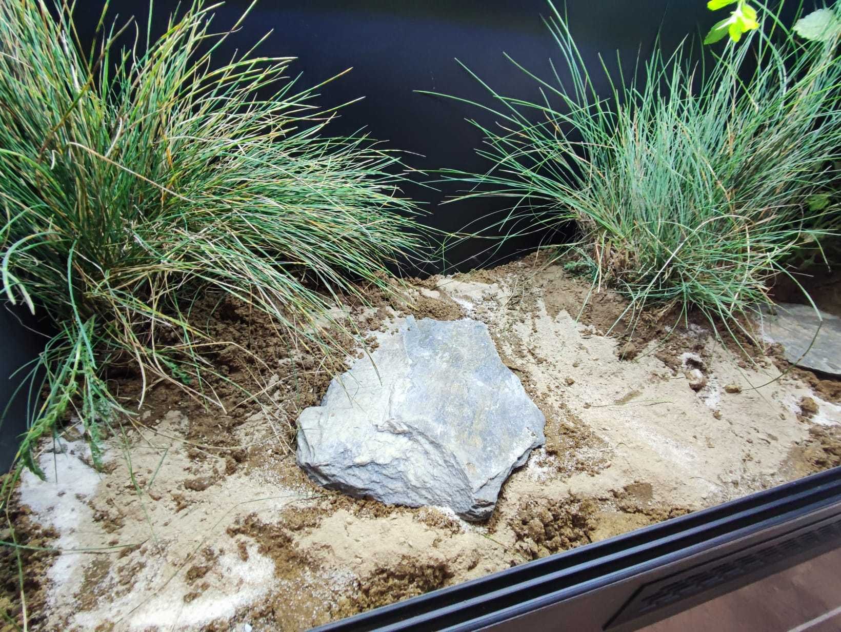 Terrarium pustynne nr650 120/40/50 dla żółwia lądowego NA ZAMÓWIENIE
