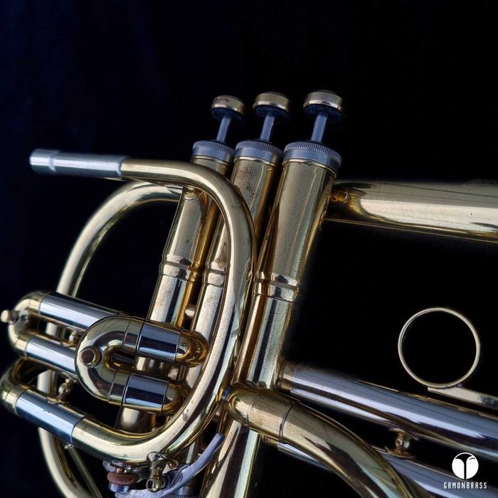 The Martin Committee flugelhorn Miles David Ahead ustnik gamonbrass