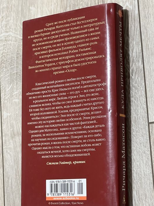 Куда приводят мечты