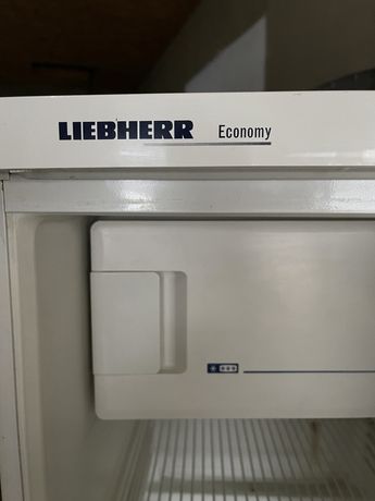Холодильник «Лібхер»