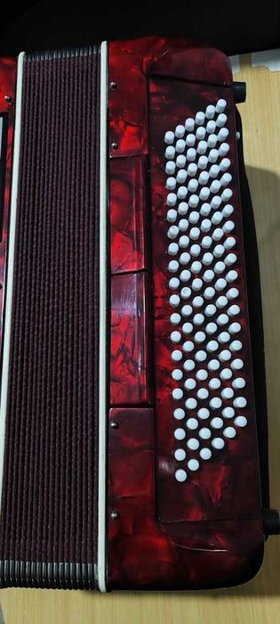 Acordeão de botões 120 baixos novo com garantia