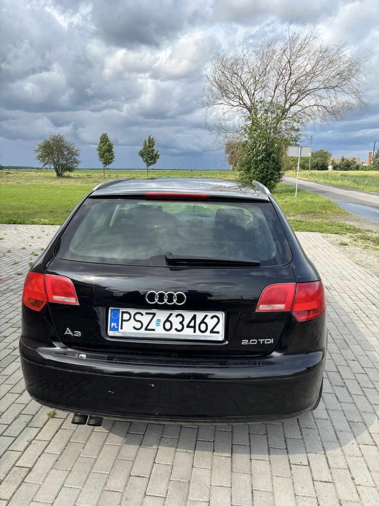 Audi A3 8P 2.0 TDI