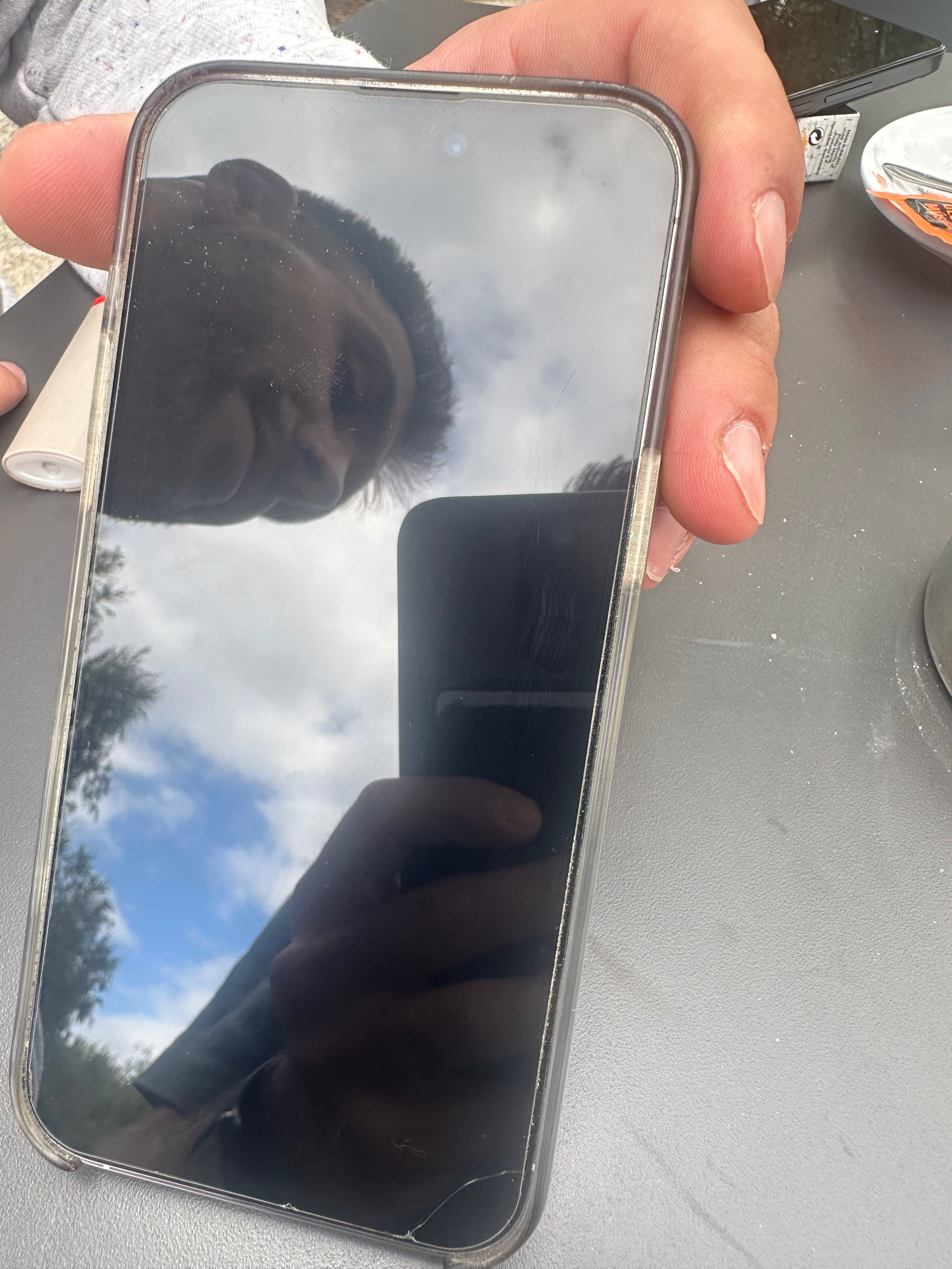 iPhone 14 Pro max