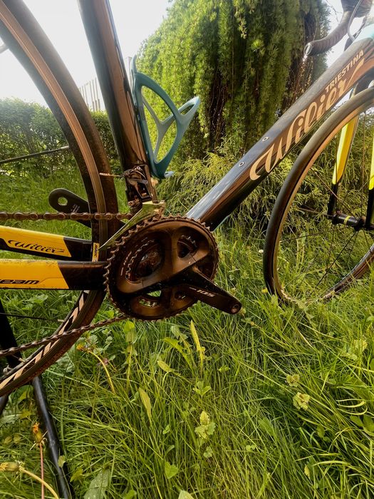 Szosa wilier trestina gtr
