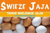 Jaja - Jajka - świeże, wiejskie, kurze, przepiórcze