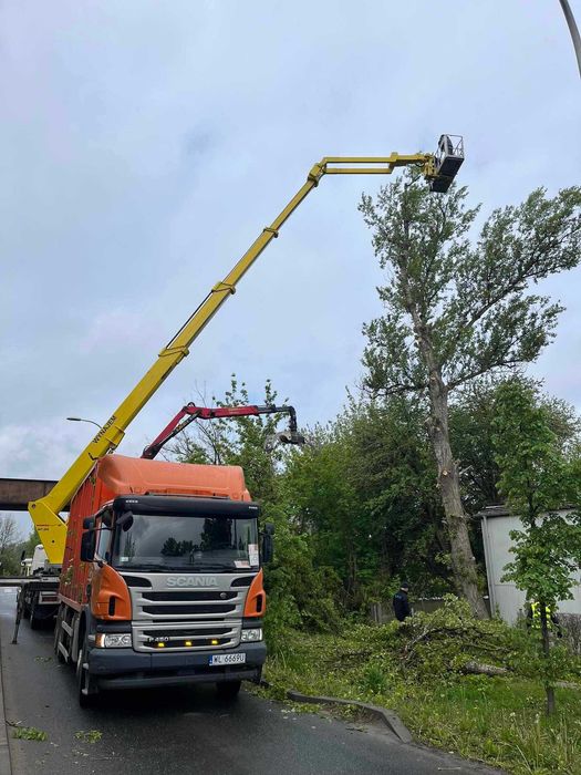 Wycinanie drzew, frezowanie pni, podnośnik koszowy, czyszczenie działe