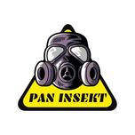 Usuwanie gniazda os i szerszeni