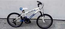 Bicicleta Berg Blast 205 FX